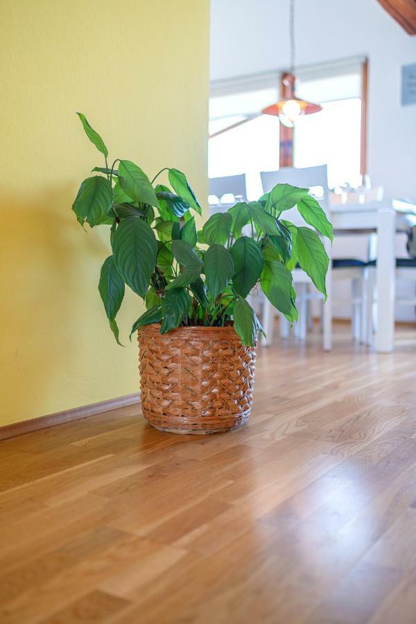 Apartman Skroza Vodice Extérieur photo
